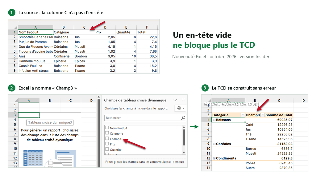 tcd en tete vide champ3