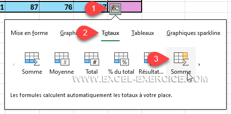 Faire une somme avec l'analyse rapide en colonne