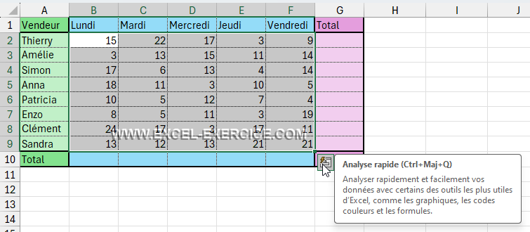 Icone de l'analyse rapide