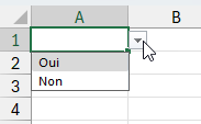 Menu déroulant Oui Non