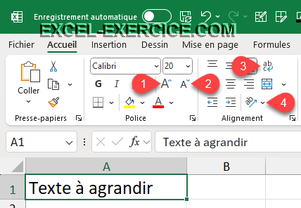 Pregunta 1 Ampliar el texto