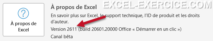 Version Excel 2611